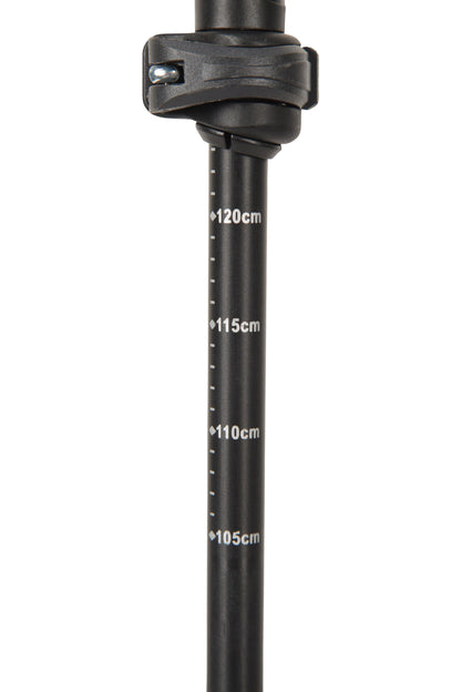 Mountain Warehouse Storr Walking Pole