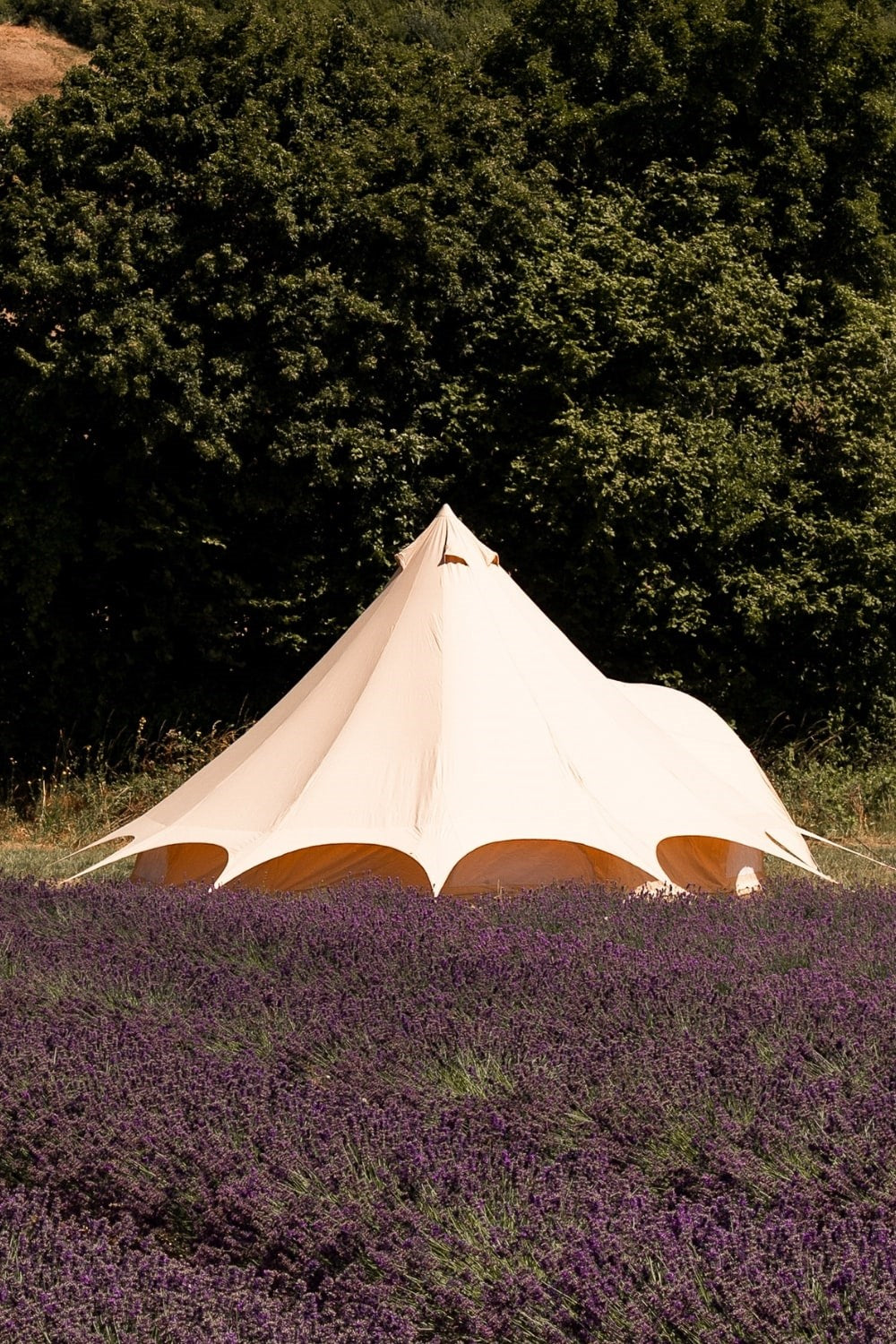  5m Star Bell Tent Canvas Lite 200gsm
