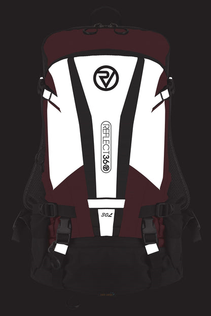ProViz M80C8D REFLECT360 Reflective Explorer 30L Backpack