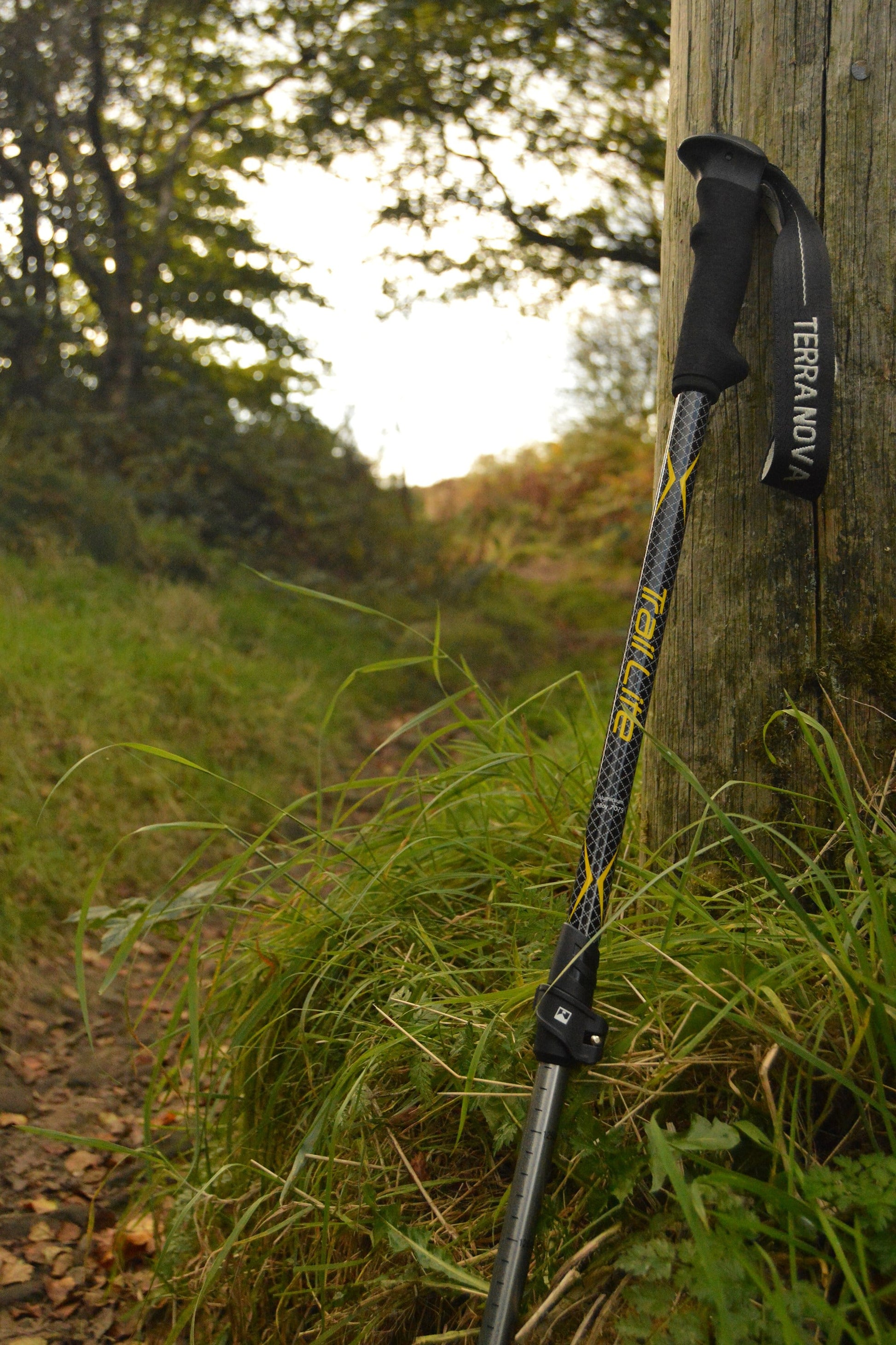 Terra Nova MC6082 Trail Lite Trekking Pole