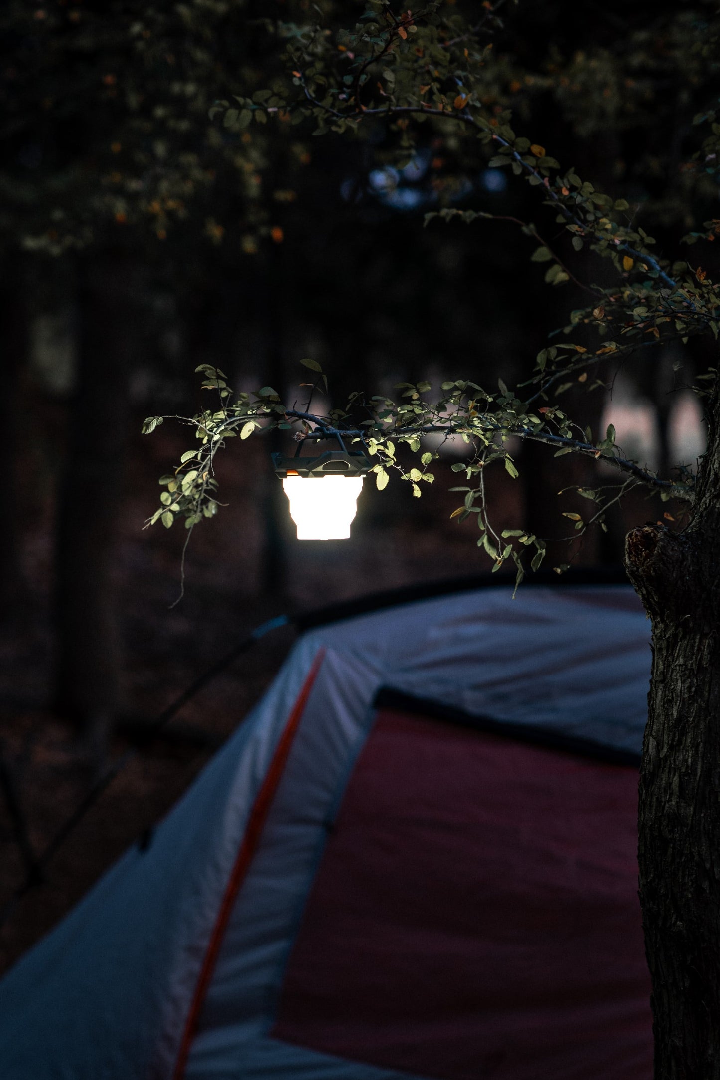  ME6E8F NEBO Galileo Air 1000 Lantern